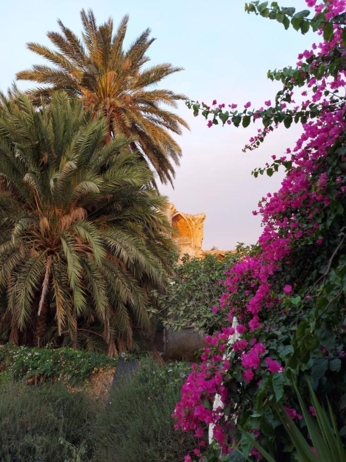 Golden Palms Guest House & Cafe Famagusta  Exterior photo