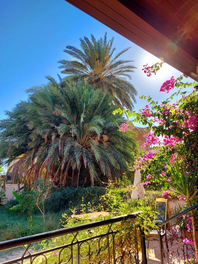 Golden Palms Guest House & Cafe Famagusta  Exterior photo